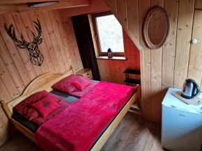 Willa Zacisze, Zakopane